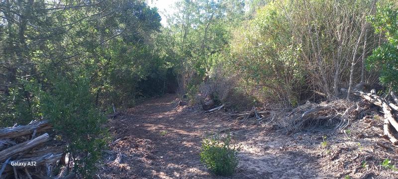 0 Bedroom Property for Sale in Wilderness Western Cape